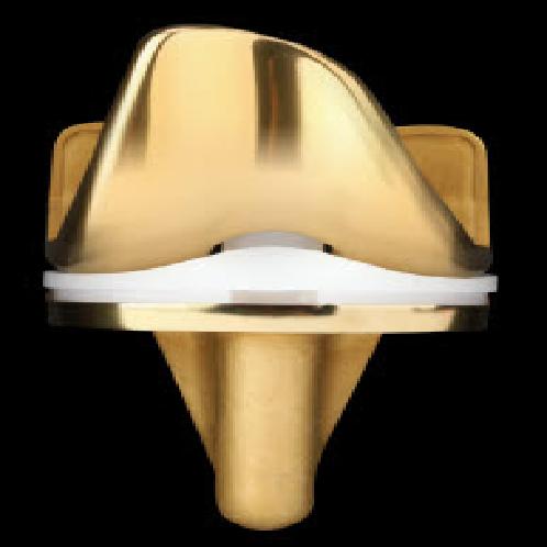 Total Knee Replacement System(L-F Knee)