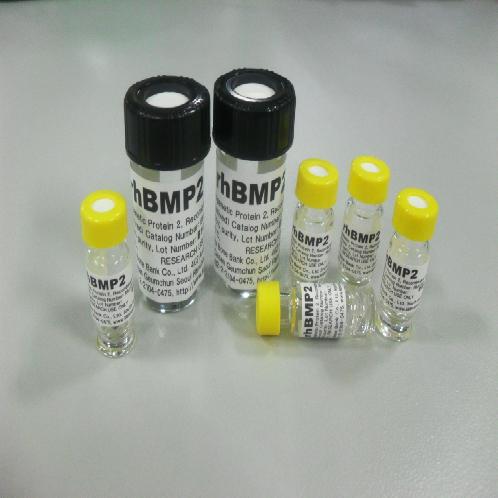  Biosimilar(BMP2 Reagent)
