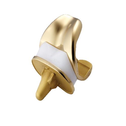 Total Knee Replacement System